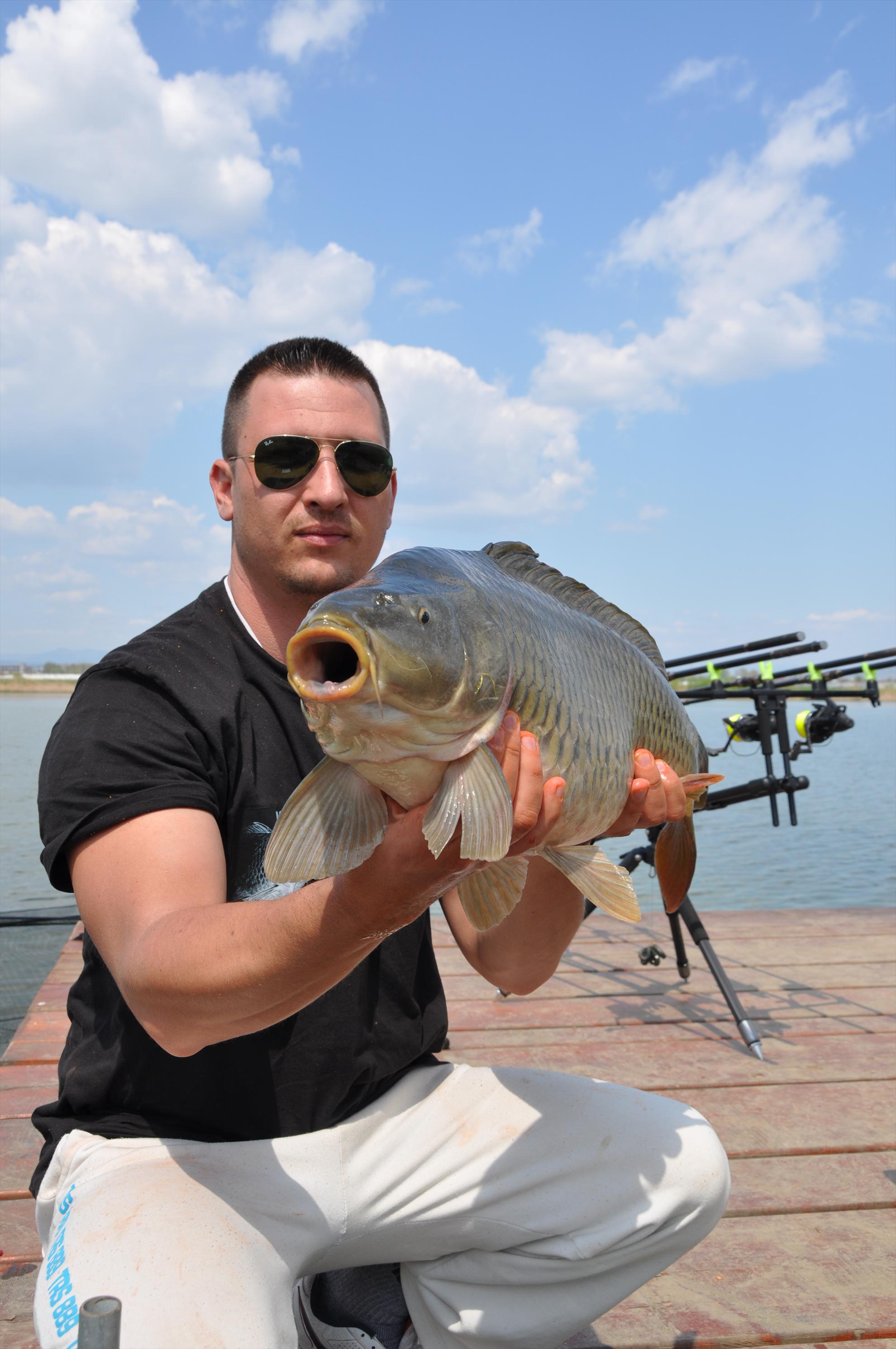 GALERIE FOTO TROFEUL USAMV - PLEASA 2 - dsc0497.JPG